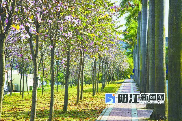 智能庭院浇灌：科技赋能打造省心省水的绿色花园